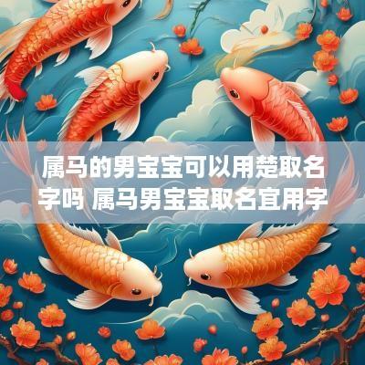 属马的男宝宝可以用楚取名字吗 属马男宝宝取名宜用字
