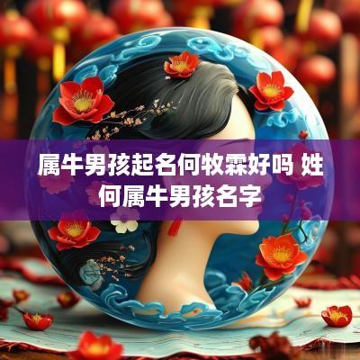 属牛男孩起名何牧霖好吗 姓何属牛男孩名字