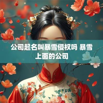 公司起名叫暴雪侵权吗 暴雪上面的公司