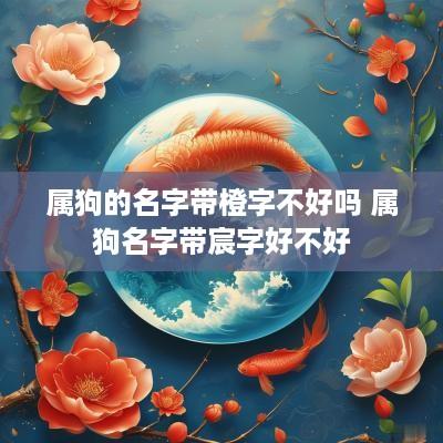 属狗的名字带橙字不好吗 属狗名字带宸字好不好
