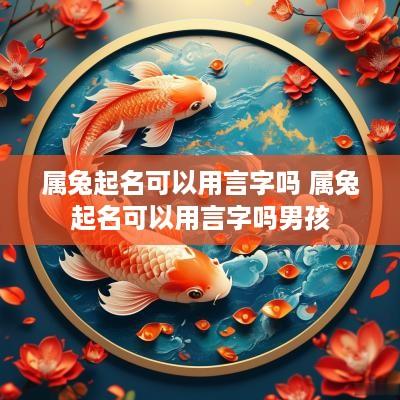 属兔起名可以用言字吗 属兔起名可以用言字吗男孩