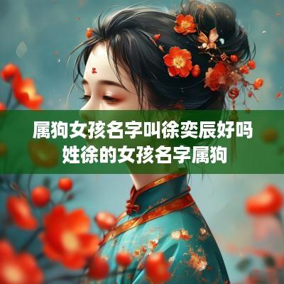 属狗女孩名字叫徐奕辰好吗 姓徐的女孩名字属狗