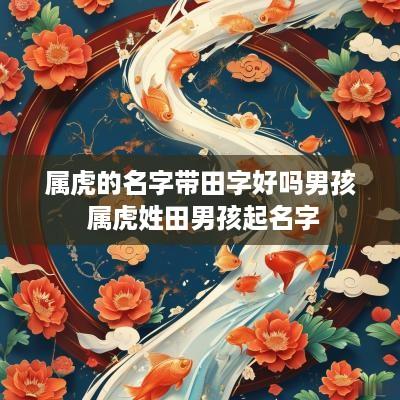 属虎的名字带田字好吗男孩 属虎姓田男孩起名字