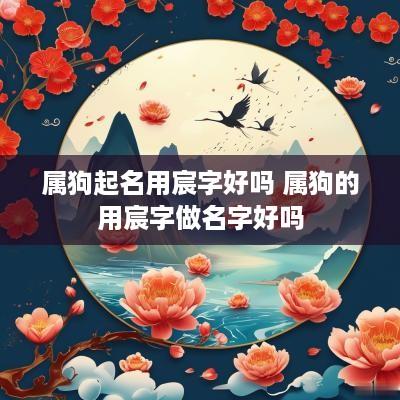属狗起名用宸字好吗 属狗的用宸字做名字好吗