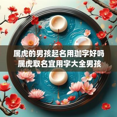 属虎的男孩起名用珈字好吗 属虎取名宜用字大全男孩