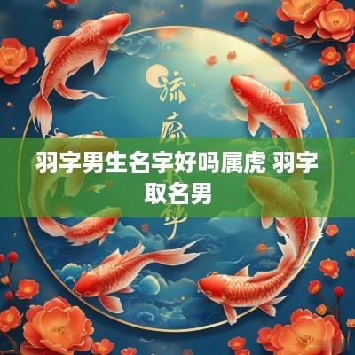 羽字男生名字好吗属虎 羽字取名男