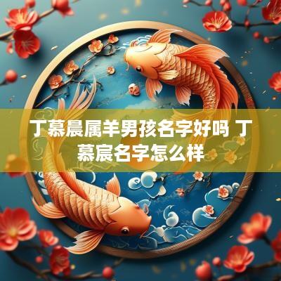 丁慕晨属羊男孩名字好吗 丁慕宸名字怎么样