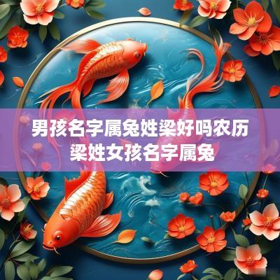 男孩名字属兔姓梁好吗农历 梁姓女孩名字属兔