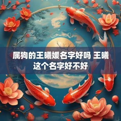 属狗的王曦媛名字好吗 王曦这个名字好不好