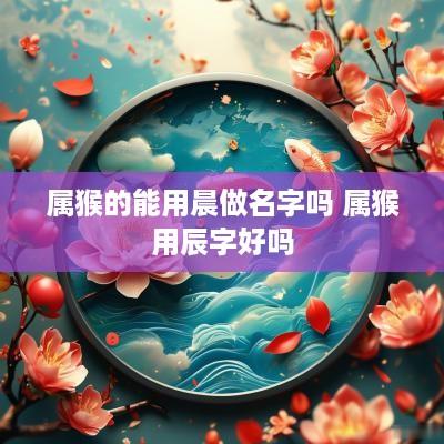 属猴的能用晨做名字吗 属猴用辰字好吗