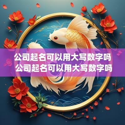 公司起名可以用大写数字吗 公司起名可以用大写数字吗怎么写