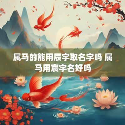 属马的能用辰字取名字吗 属马用宸字名好吗