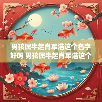 男孩属牛起肖军浩这个名字好吗 男孩属牛起肖军浩这个名字好吗