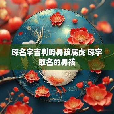 琛名字吉利吗男孩属虎 琛字取名的男孩