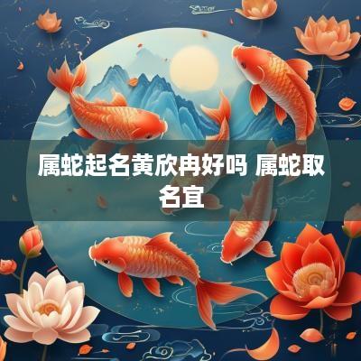属蛇起名黄欣冉好吗 属蛇取名宜
