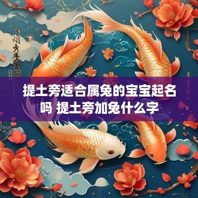 提土旁适合属兔的宝宝起名吗 提土旁加兔什么字