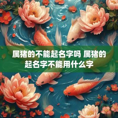 属猪的不能起名字吗 属猪的起名字不能用什么字
