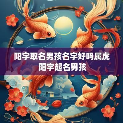 阳字取名男孩名字好吗属虎 阳字起名男孩 阳字取名男孩名字好吗属虎 阳字起名男孩