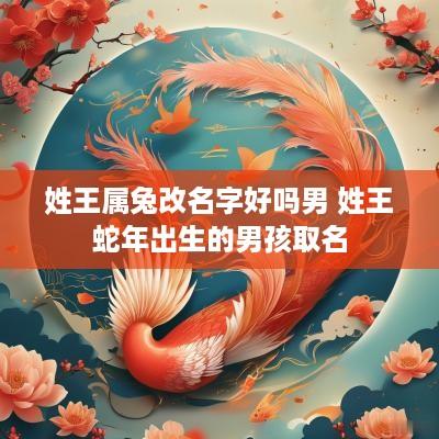 姓王属兔改名字好吗男 姓王蛇年出生的男孩取名