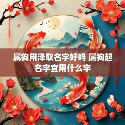 属狗用泽取名字好吗 属狗起名字宜用什么字
