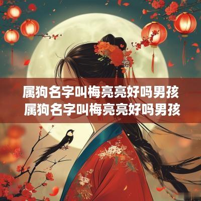 属狗名字叫梅亮亮好吗男孩 属狗名字叫梅亮亮好吗男孩子