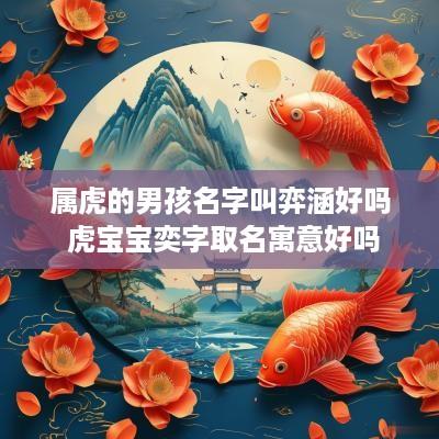 属虎的男孩名字叫弈涵好吗 虎宝宝奕字取名寓意好吗