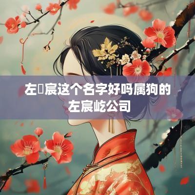 左順宸这个名字好吗属狗的 左宸屹公司