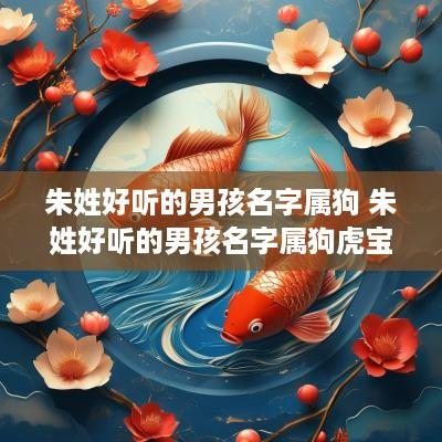 朱姓好听的男孩名字属狗 朱姓好听的男孩名字属狗虎宝宝