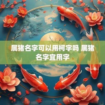 属猪名字可以用柯字吗 属猪名字宜用字
