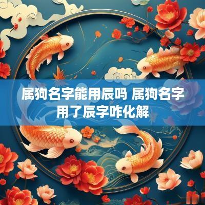 属狗名字能用辰吗 属狗名字用了辰字咋化解