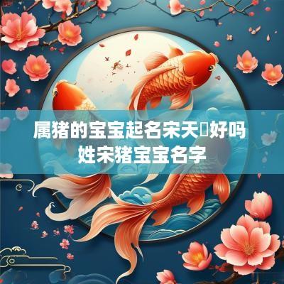 属猪的宝宝起名宋天瑀好吗 姓宋猪宝宝名字