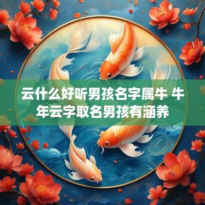 云什么好听男孩名字属牛 蛇年云字取名男孩有涵养