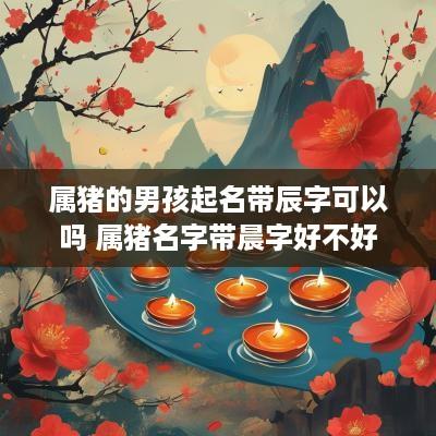 属猪的男孩起名带辰字可以吗 属猪名字带晨字好不好