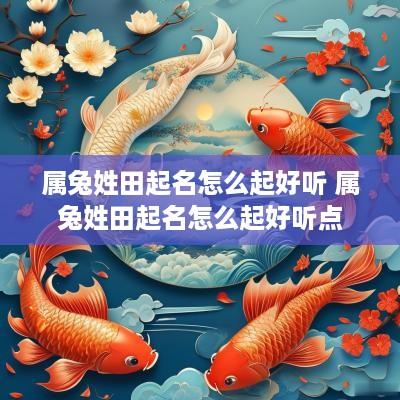 属兔姓田起名怎么起好听 属兔姓田起名怎么起好听点