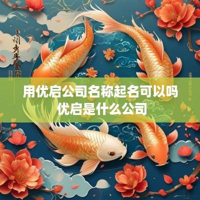 用优启公司名称起名可以吗 优启是什么公司