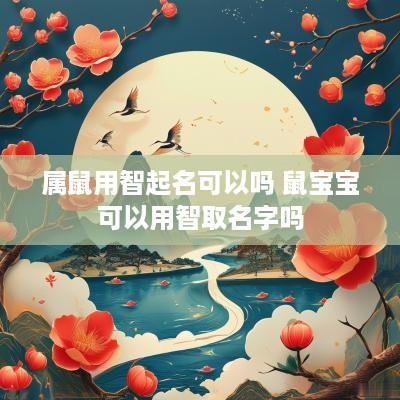 属鼠用智起名可以吗 鼠宝宝可以用智取名字吗