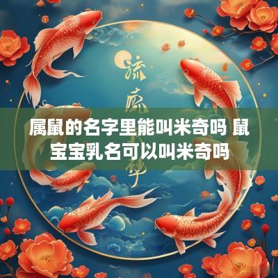 属鼠的名字里能叫米奇吗 鼠宝宝乳名可以叫米奇吗