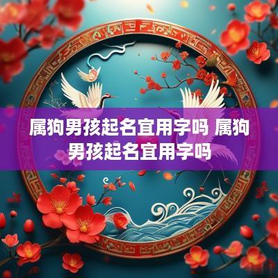 属狗男孩起名宜用字吗 属狗男孩起名宜用字吗