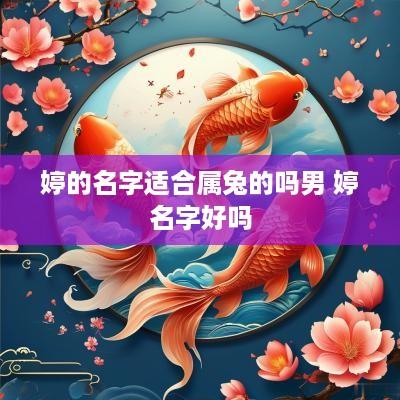 婷的名字适合属兔的吗男 婷名字好吗