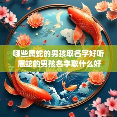 哪些属蛇的男孩取名字好听 属蛇的男孩名字取什么好