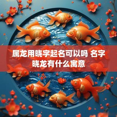 属龙用晓字起名可以吗 名字晓龙有什么寓意