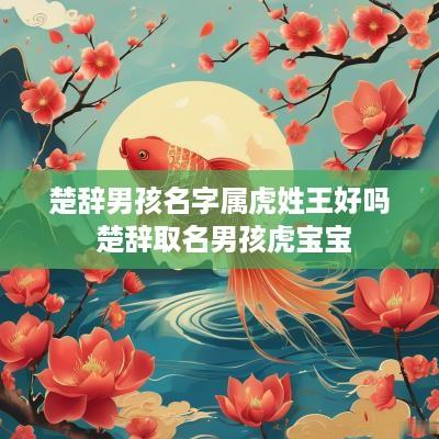 楚辞男孩名字属虎姓王好吗 楚辞取名男孩虎宝宝