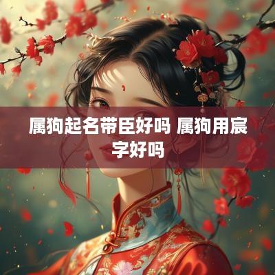 属狗起名带臣好吗 属狗用宸字好吗