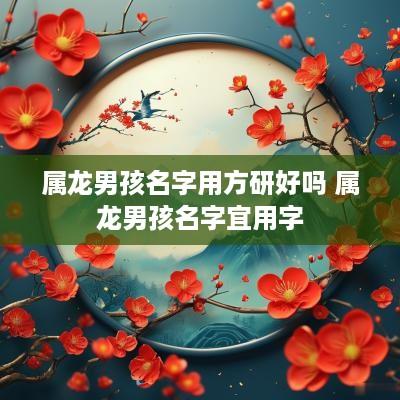 属龙男孩名字用方研好吗 属龙男孩名字宜用字