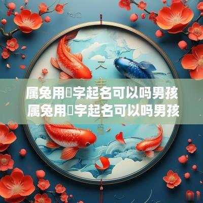 属兔用璟字起名可以吗男孩 属兔用璟字起名可以吗男孩子