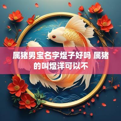 属猪男宝名字煜子好吗 属猪的叫煜洋可以不