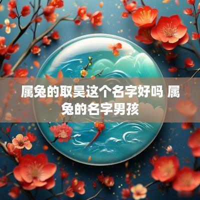 属兔的取昊这个名字好吗 属兔的名字男孩