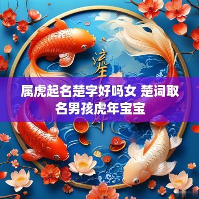 属虎起名楚字好吗女 楚词取名男孩蛇年宝宝