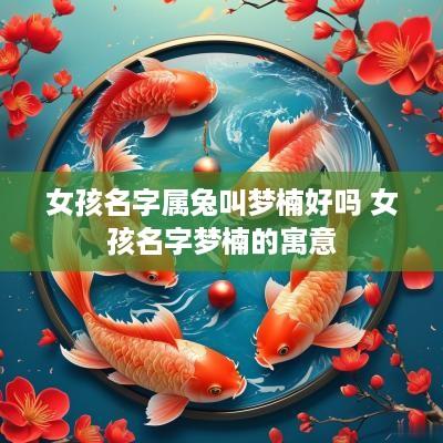 女孩名字属兔叫梦楠好吗 女孩名字梦楠的寓意