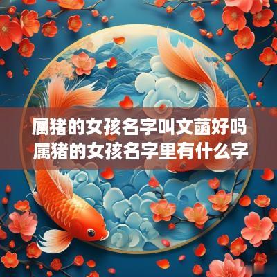 属猪的女孩名字叫文菡好吗 属猪的女孩名字里有什么字好